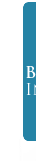Beta Logo 1